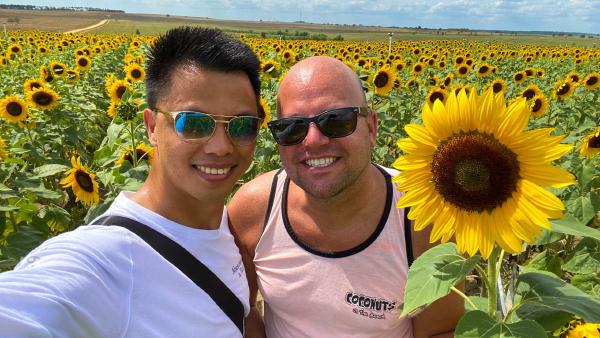 Sunflower Festival