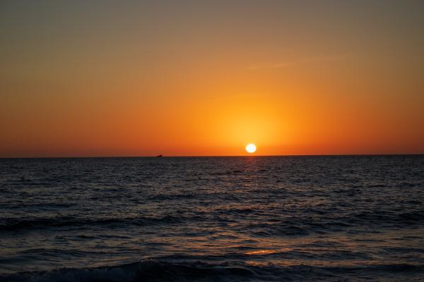 Naples, FL