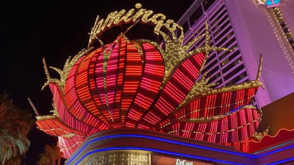 Las Vegas, Nevada + Adele